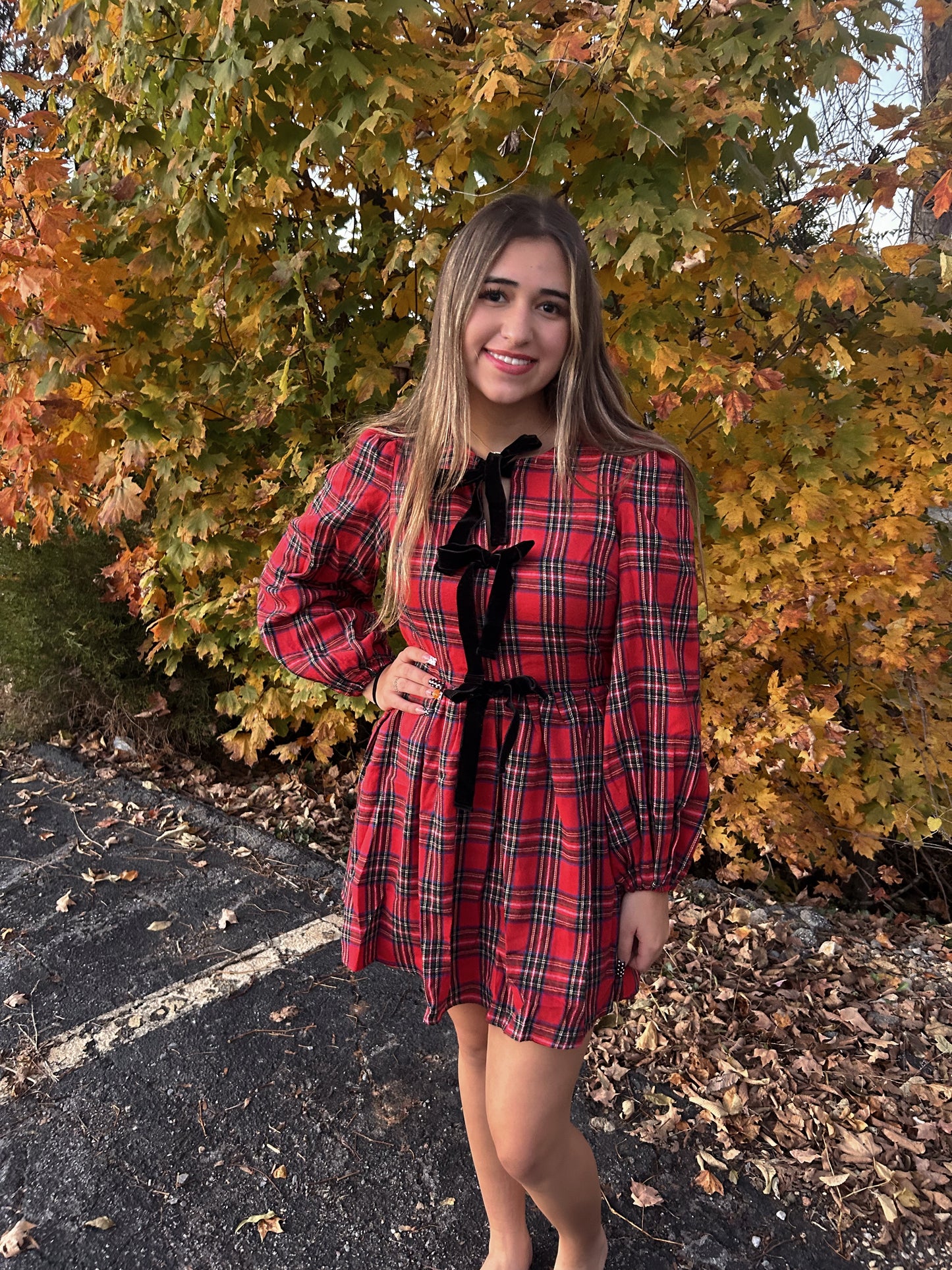 Santa's Favorite Plaid Dress