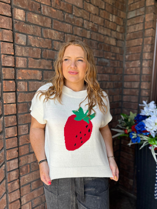 Strawberry Fields Sweater Top