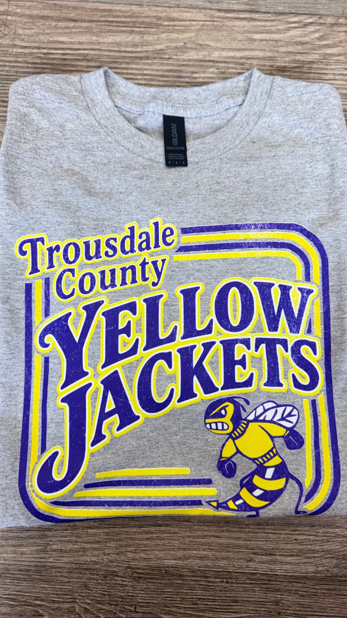 Retro TC Grey Gildan Graphic Tee - TSABR