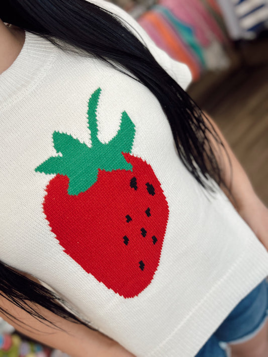 Strawberry Fields Sweater Top