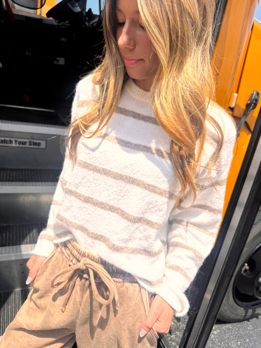 Front Roll Favorite Striped Sweater - Heather Mocha