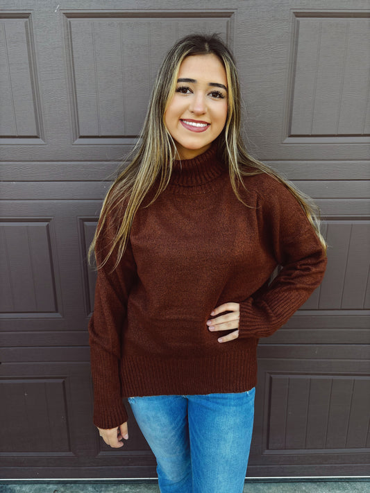 Pumpkin Patch Cozy Turtleneck Sweater - Chestnut