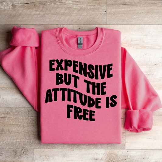 Attitude Is Free Graphic Tee