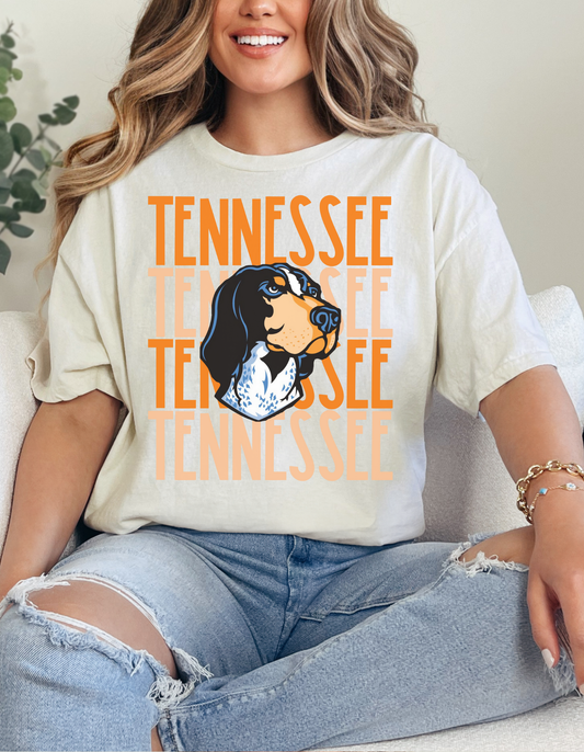 TN VOLS GRAPHIC TEE - 38