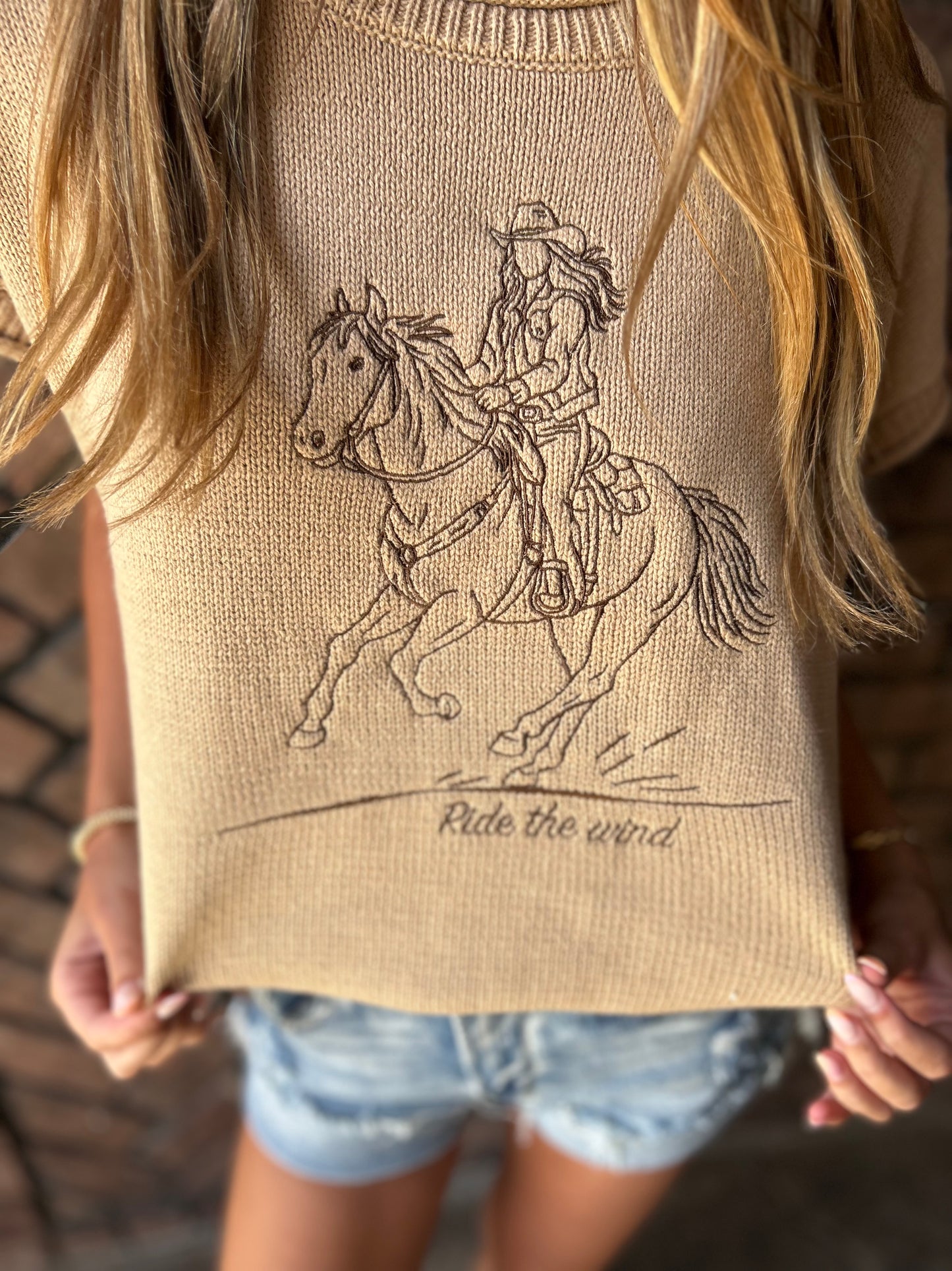 Ride The Wind Sweater Top
