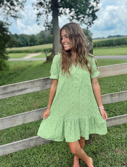 Apple A Day Dress