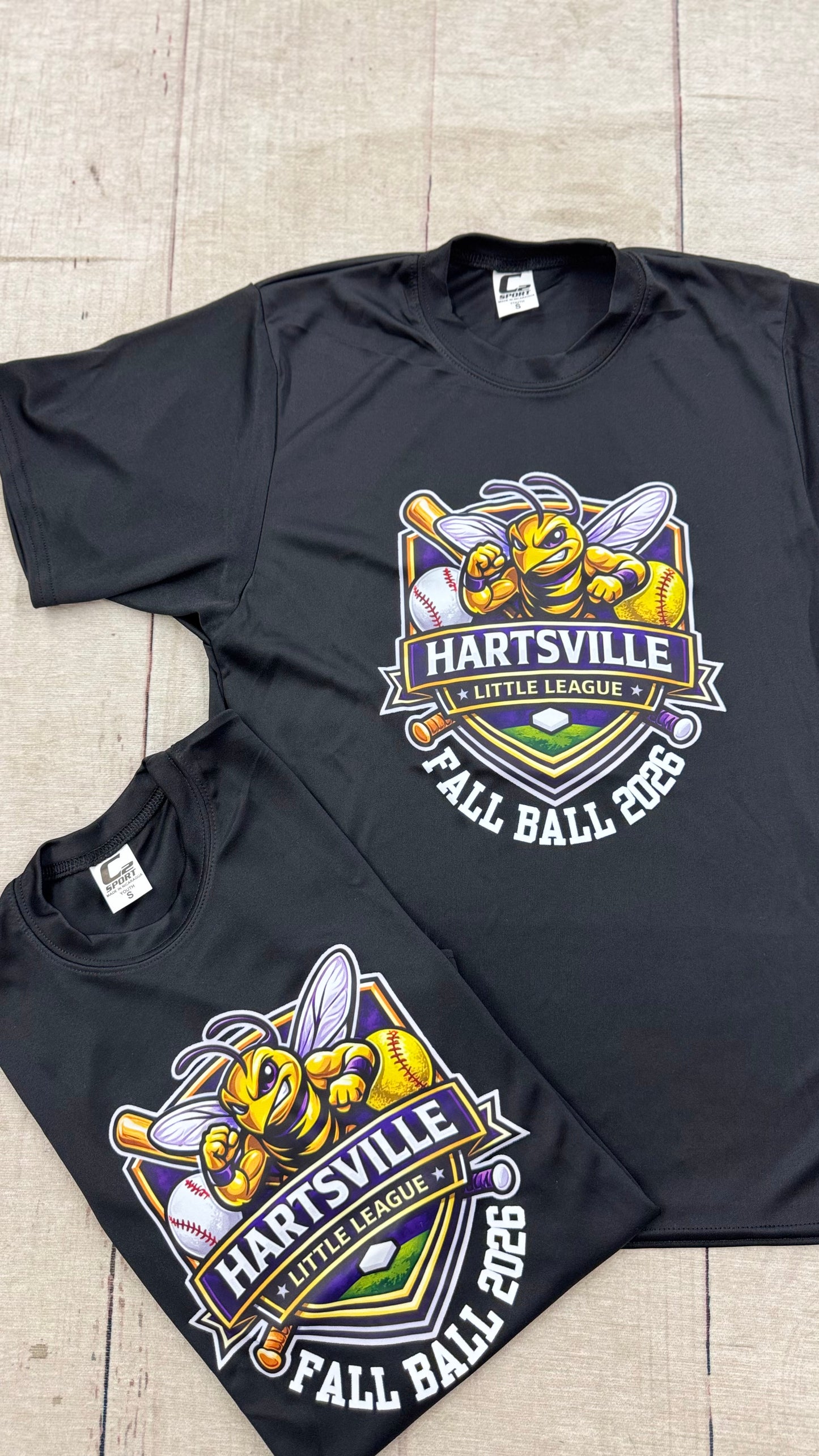 Hartsville Fall Ball - Black TBall