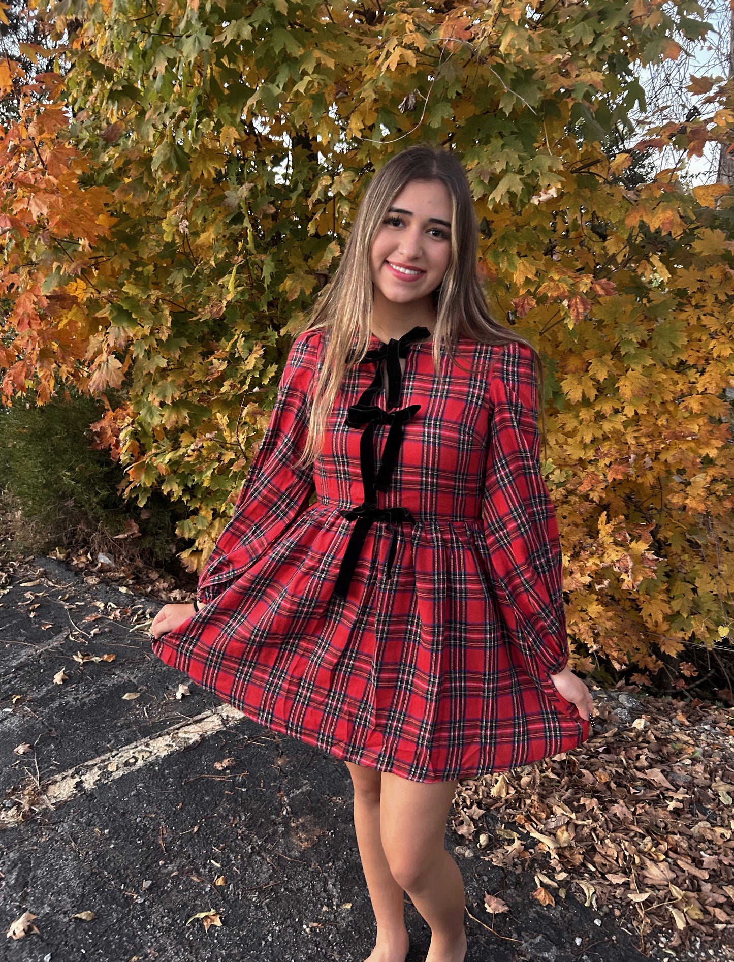 Santa's Favorite Plaid Dress