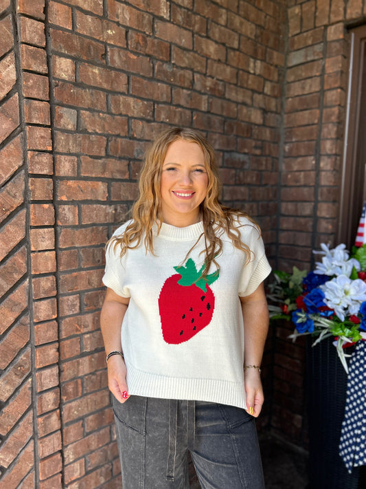 Strawberry Fields Sweater Top