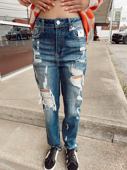 Jenna Mid Rise Skinny Vervet Jeans