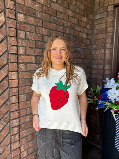 Strawberry Fields Sweater Top
