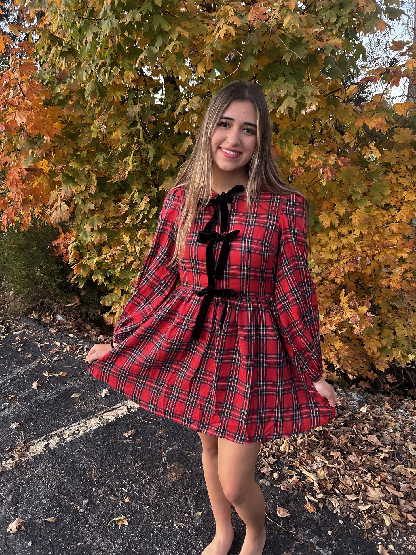 Santa's Favorite Plaid Dress