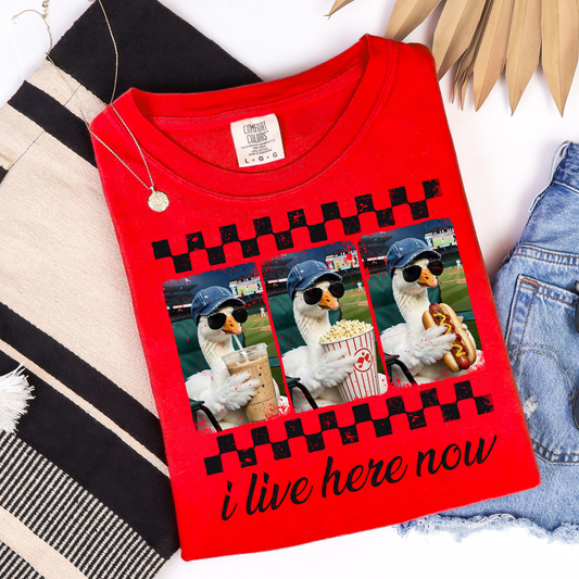 I Live Here Now Baseball Goose Graphic Tee