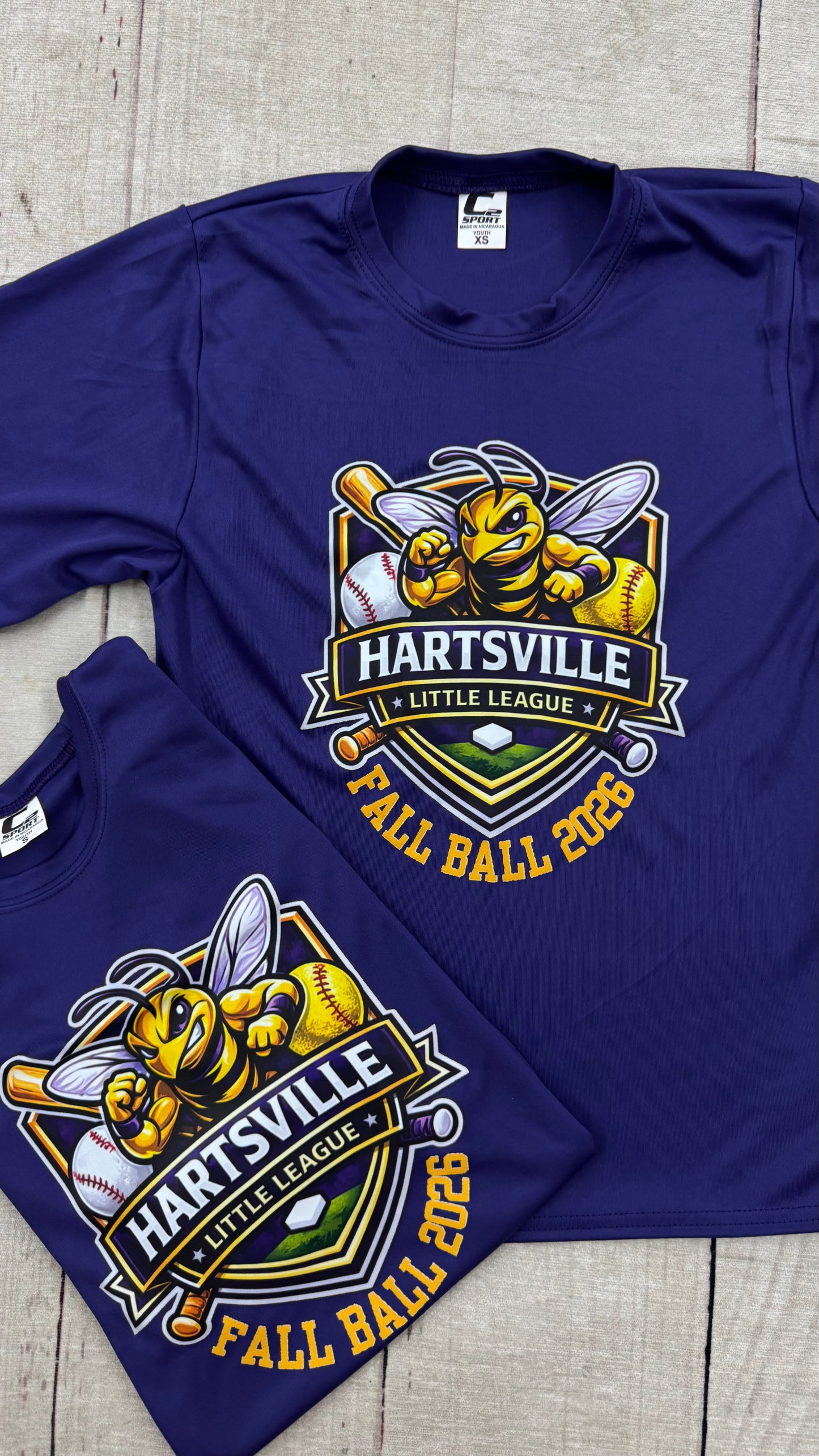 Hartsville Fall Ball - Purple TBall