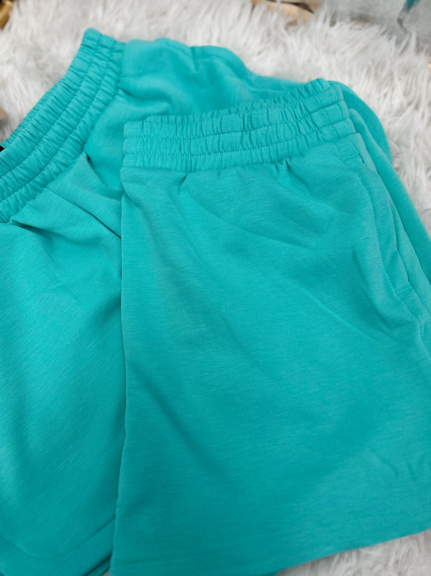 DOORBUSTER Scuba Dolphin Shorts - Mint
