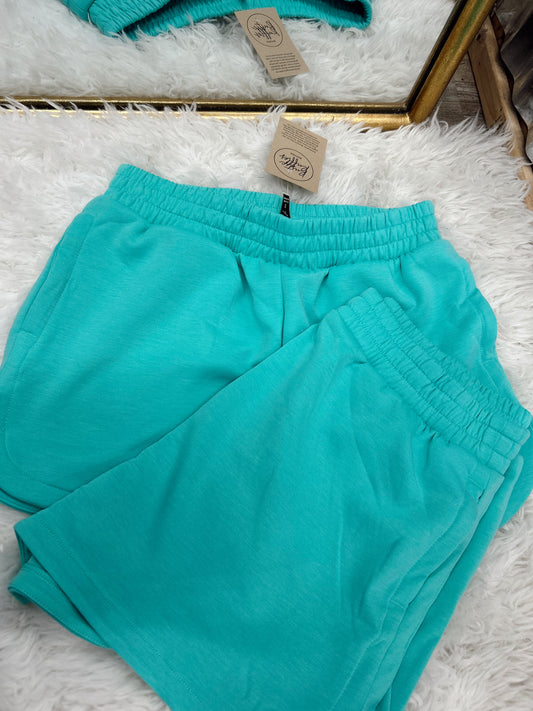 DOORBUSTER Scuba Dolphin Shorts - Mint