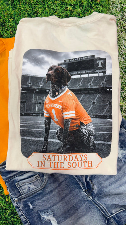 Saturdays in the South TN Dog Graphic Tee