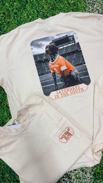 Saturdays in the South TN Dog Graphic Tee