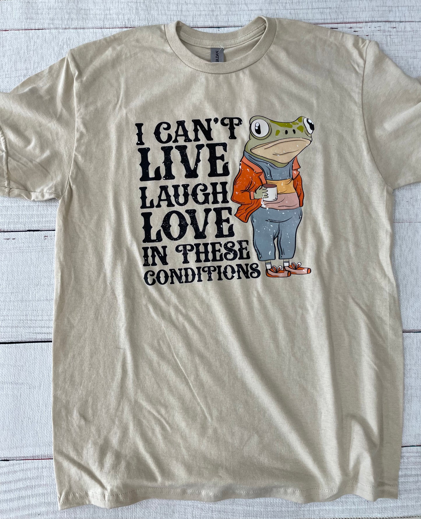 I Can't Live Laugh Love In These Conditions Graphic Tee - Adult